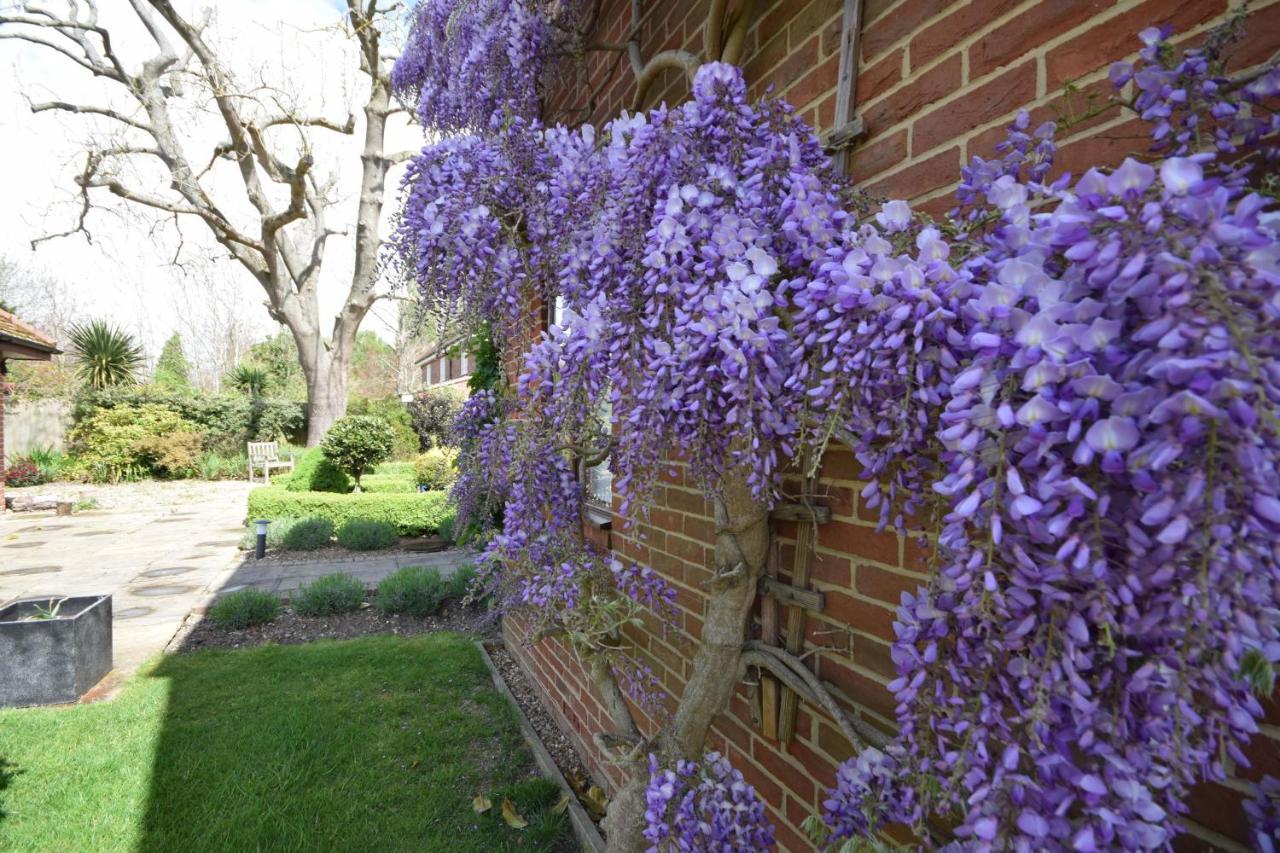 Wisteria Way, Tangmere 外观 照片